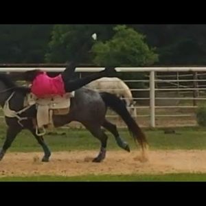 Meet your Posher, Lindsay